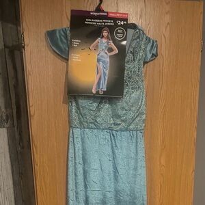 Elegant Blue Gown Costume